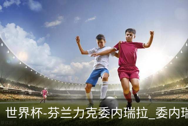 世界杯-芬兰力克委内瑞拉 委内瑞拉0胜5负告别