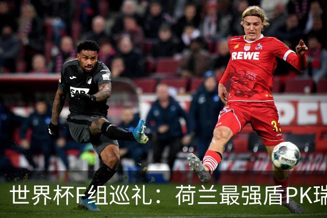 世界杯F组巡礼：荷兰最强盾PK瑞典犀利刀 日本短板明显