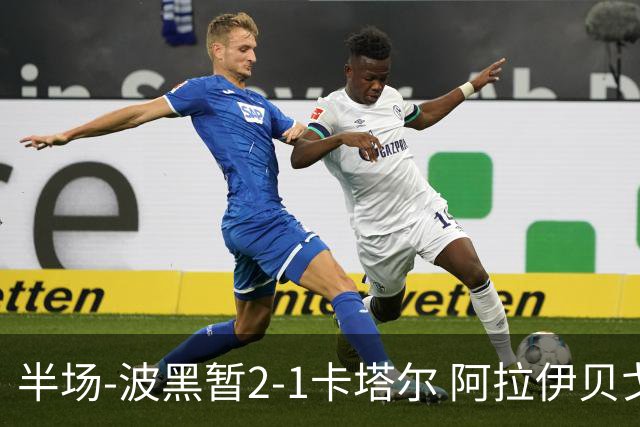半场-波黑暂2-1卡塔尔 阿拉伊贝戈维奇世界波破门哲科造乌龙