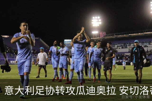 意大利足协转攻瓜迪奥拉 安切洛蒂已拒绝 选帅进入倒计时
