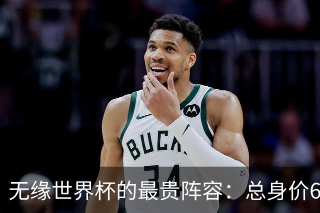 无缘世界杯的最贵阵容：总身价6.7亿 意大利5人