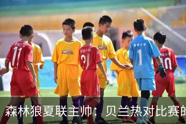 森林狼夏联主帅：贝兰热对比赛的理解提升很大 终结能力也在提高