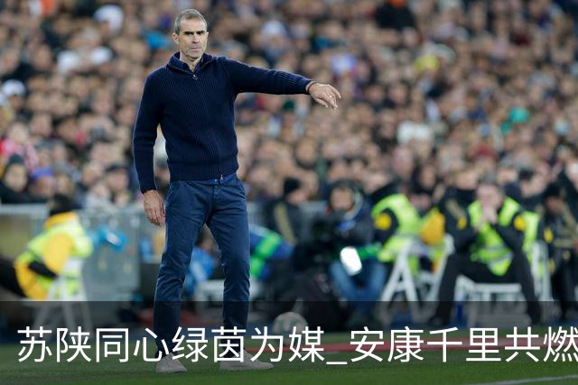苏陕同心绿茵为媒 安康千里共燃“苏超”激情